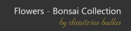 Flowers - Bonsai Collection